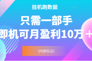 挂机跑数据，只需一部手即机可月盈利10万＋（内部玩法）价值4988元