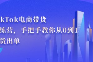 TikTok电商带货训练营，手把手教你从0到1带货出单（无水印）