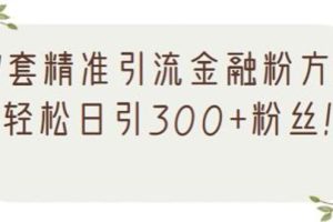 1套精准引流金融粉方法，轻松日引300+粉丝【视频课程】