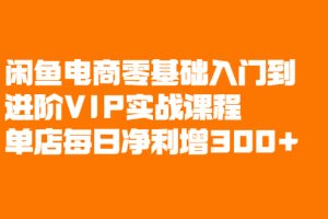 闲鱼电商零基础入门到进阶VIP实战课程，帮助你掌握闲鱼电商所需的各项技能