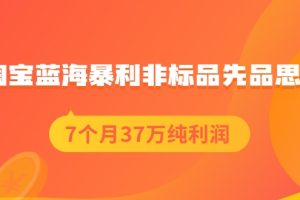 淘宝蓝海暴利非标品先品思路，7个月37万纯利润，压箱干货分享！【付费文章】