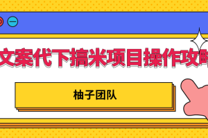 文案代下搞米项目操作方案，只要肯吃苦新手也能日入300+