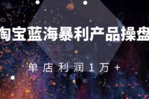 淘宝蓝海暴利产品操盘教程：从零到单店利润10000+详细实操（付费文章）