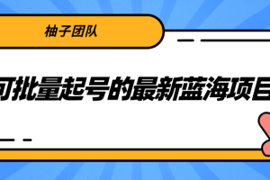 可批量起号的最新蓝海项目，利用抖音民间故事号月入10000+