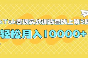 龟课TikTok变现实战训练营线上第3期，轻松月入10000+（无水印）