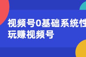 视频号0基础系统性玩赚视频号内容运营+引流+快速变现（20节课）无水印