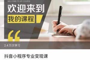 抖音小程序专业变现课,小程序各类玩法运营技巧变现