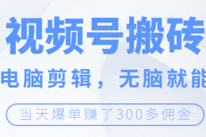 视频号无脑搬砖带货，会电脑剪辑无脑就能干，当天爆单赚300+佣金