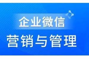 赵睿·企业微信营销管理实操全攻略，用好企业微信助力企业轻松玩转私域获客