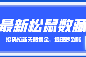 最新松鼠数藏接码拉新无限撸钱项目，提现秒到账【全套软件】