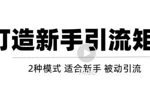 2种引流矩阵搭建模式，掌握1种，每天引流轻松破百！【视频教程】