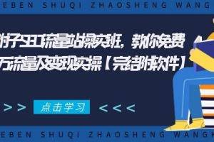 2021年附子SEO流量站操实‬班，教你免费获得百万流量及变现实操【完结附软件】