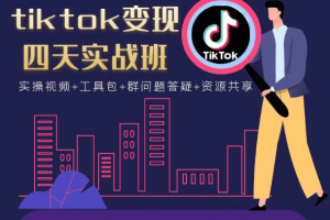 tiktok变现四天实战班，连怼技术+矩阵玩法赚美金！价值998元