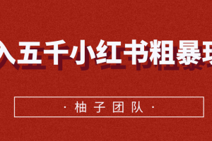 月入五千小红书粗暴赚钱玩法，适合上班族的赚钱副业【视频课程】