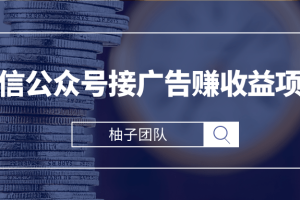 微信公众号接广告赚收益，新手零基础也能操作月入万元的项目【视频课程】