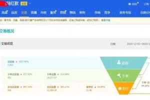 淘宝网红店100%起店玩法：单店月利润5000+，可批量操作，月赚几万