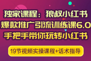 狼叔小红书爆款推广引流训练课6.0，手把手带你玩转小红书【无水印版】