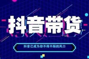 翼丰会抖音短视培训，零基础新手8天快速掌握核心运营变现技巧【附软件】