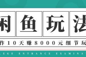 龟课·闲鱼项目玩法实战班第12期，操作10天左右利润有8000元细节玩法