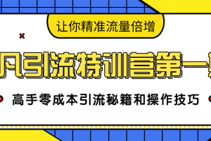 卓凡引流特训营第一期：高手零成本引流秘籍和操作技巧，让你精准流量倍增