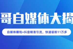 准哥自媒体大揭秘：自媒体赚钱+抖音精准引流，新手小白快速吸粉11万多