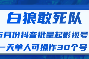 白狼敢死队6月份最新抖音短视频批量起影视号（一天单人可操作30个号）视频课程