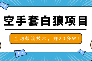 2020最新空手套白狼项目，全网批量截流技术，一个月实战成功赚20多W!