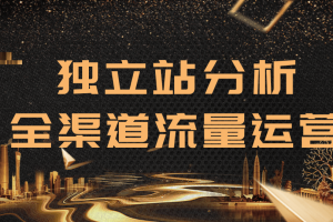 2020跨境电商未来出路，独立站精细化流量运营，手把手教你分析一个网站