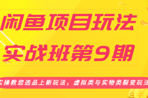 闲鱼项目玩法实战班第9期（一）实操教您选品上新玩法，虚拟类与实物类裂变玩法