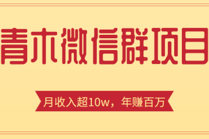 青木微信群赚钱项目，一单收益几百到几千，月收入超10w+【价值1888元】