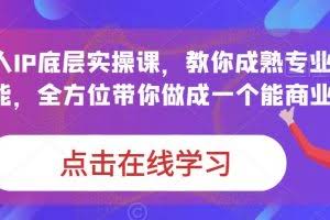 蟹老板·打爆个人IP底层实操课，教你成熟专业的打造IP技能，全方位带你做成一个能商业化IP