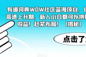 有道词典WOW社区蓝海项目，目前高速上升期，新人小白都可以换取高收益！赶紧布局！【揭秘】