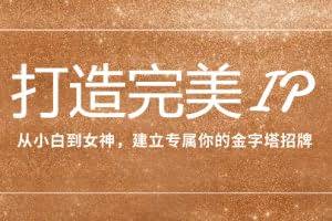 (7948期)打造完美IP:从小白到女神,建立专属你的金字塔招牌(15节课)