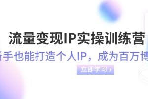 (8134期)流量变现-IP实操训练营:新手也能打造个人IP,成为百万 博主(46节课)