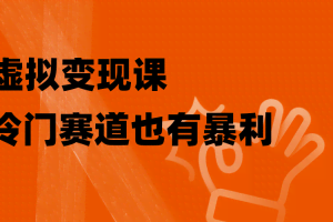 （8219期）虚拟变现课，冷门赛道也有暴利，手把手教你玩转冷门私域