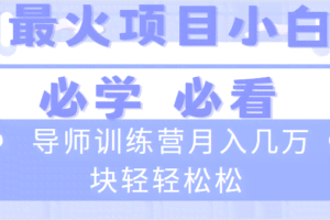（8569期）导师训练营互联网最牛逼的项目没有之一，新手小白必学，月入2万+轻轻松松