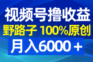 （8679期）视频号野路子撸收益，100%原创，条条爆款，月入6000＋
