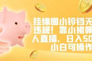 挂缘圈小铃铛无版权违规！靠小猪佩奇无人直播，日入500+，小白可操作【揭秘】