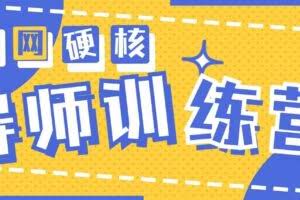 （9259期）2024导师训练营6.0超硬核变现最高的项目，高达月收益10W+