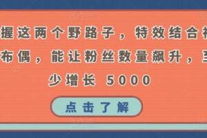 掌握这两个野路子，特效结合神奇布偶，能让粉丝数量飙升，至少增长 5000【揭秘】
