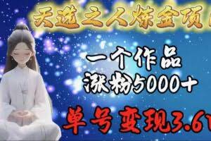 （9693期）天选之人炼金项目，一个作品涨粉5000+，单号变现3.6w