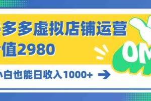 （10120期）拼多多虚拟店铺运营：小白也能日收入1000+