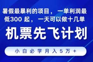 （11204期）2024最新项目，冷门暴利，整个暑假都是高爆发期，一单利润300+，二十…