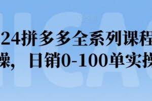 2024拼多多全系列课程实操，日销0-100单实操【必看】