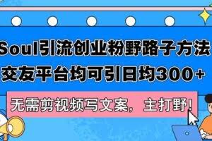 (12281期)Soul引流创业粉野路子方法,交友平台均可引日均300+,无需剪视频写文案…