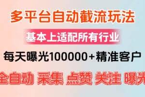 (12709期)小红书抖音视频号最新截流获客系统,全自动引流精准客户【日曝光10000+…