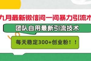 (12735期)九月最新微信问一问暴力引流术,团队自用引流术,每天稳定300+创…