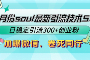 (12772期)9月份soul最新引流技术5.0,日稳定引流300+创业粉,加爆微信,卷死同行