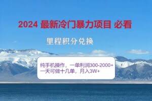 （12856期）2024惊爆冷门暴利！出行高峰来袭，里程积分，高爆发期，一单300+—2000…