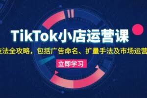 (13063期)TikTok小店运营课:投流技法全攻略,包括广告命名 扩量手法及市场运营方法